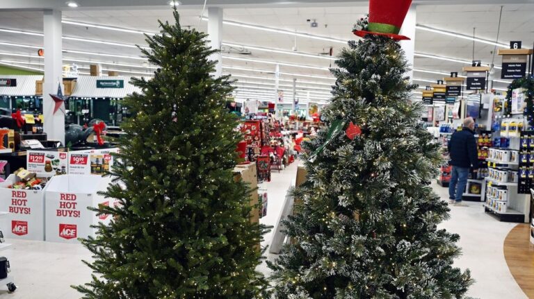 Tariffs Drive Up Artificial Tree Costs, Boost Real Tree Sales