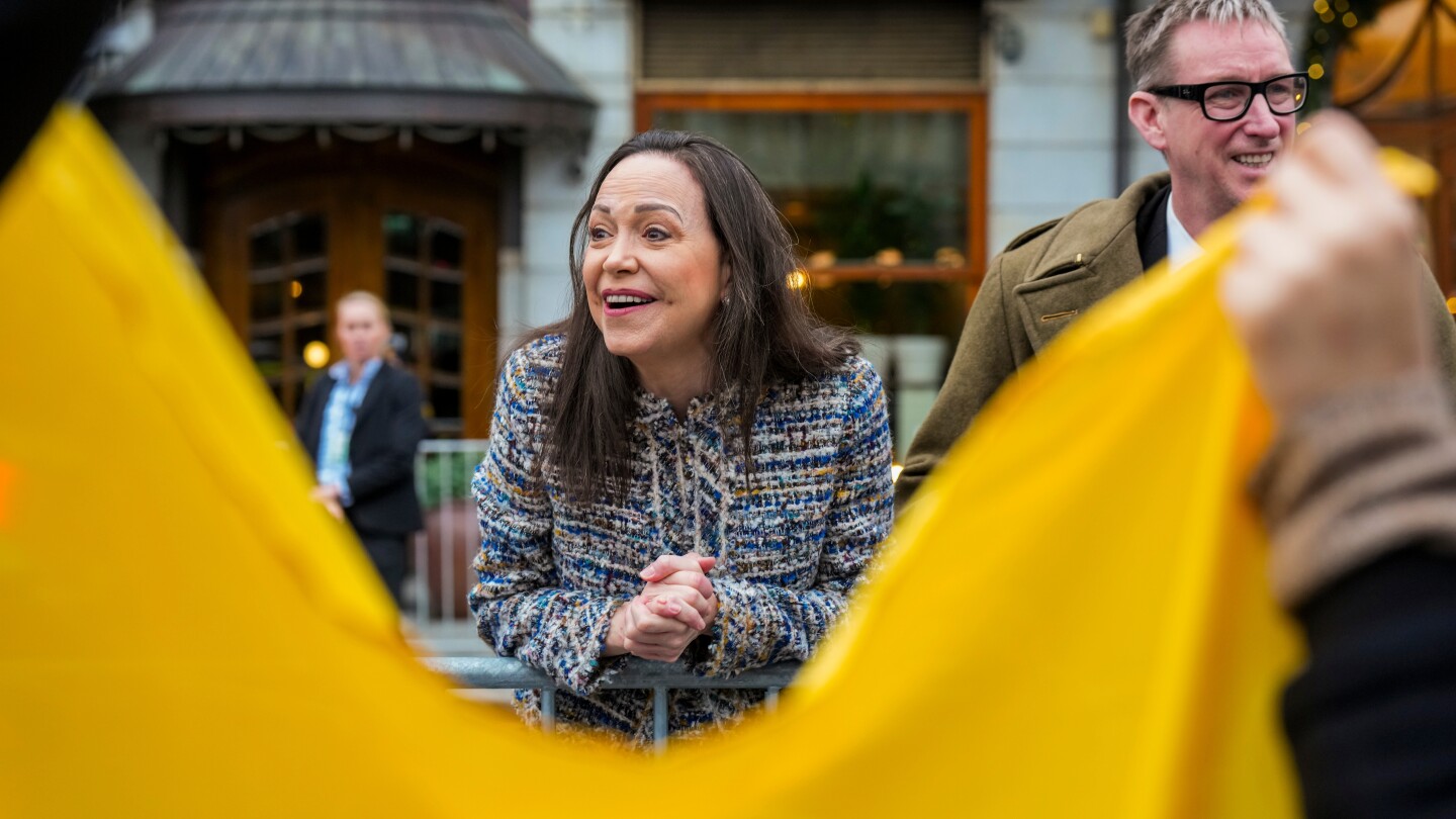 Venezuela's opposition is sidelined as Maduro's party remains in power