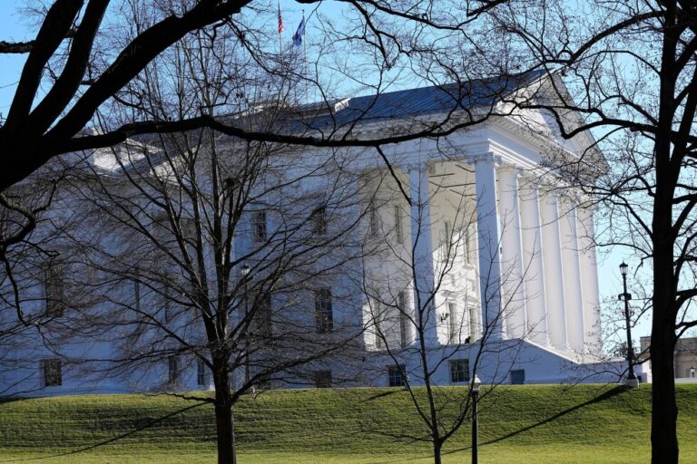 Virginia judge temporarily halts Democrats' redistricting referendum bid