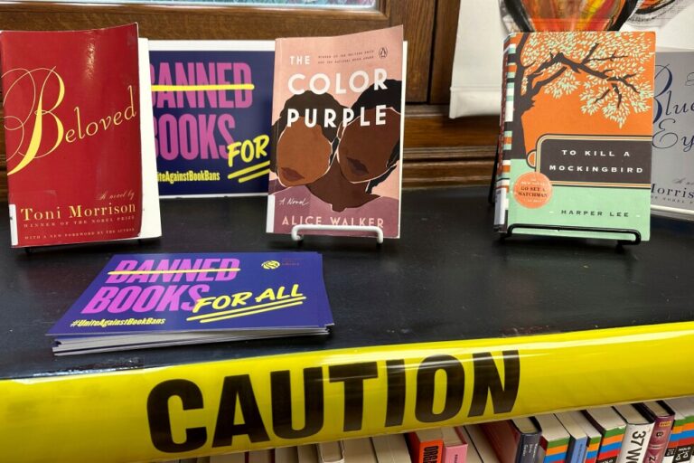 The most challenged book of 2025, according to the ALA