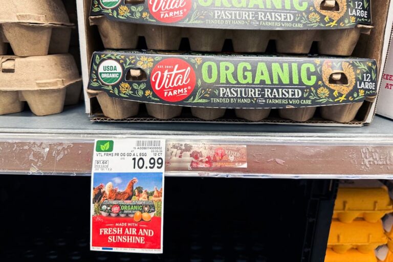 Rising hunger rates pose new risks for Republican Senate candidates