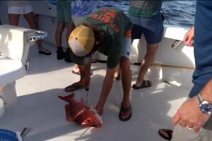 Judge blocks Trump-backed red snapper season