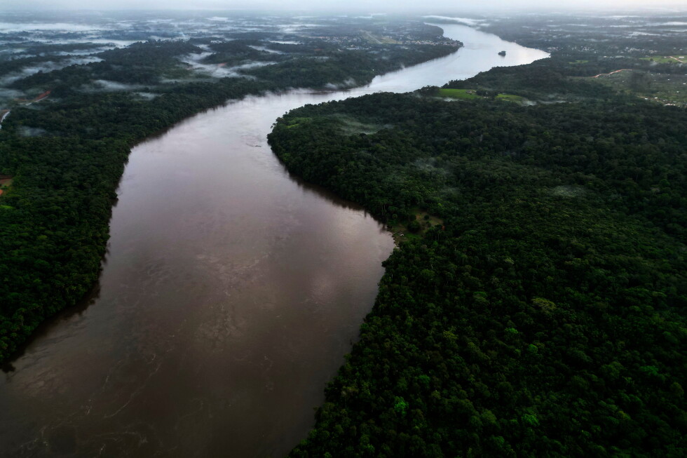 Brazil's Supreme Court to decide on Amazon and Indigenous rights